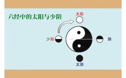 中醫(yī)基礎(chǔ)—六經(jīng)中的太陽與少陰含義！
