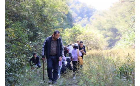 踏秋尋寶，聞香識(shí)藥！首屆神農(nóng)杯野外識(shí)藥大賽在株洲鳳凰山景區(qū)成功舉辦！