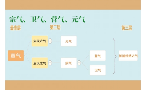 中醫(yī)里的“宗氣”、“衛(wèi)氣”、“營氣”、“元氣”